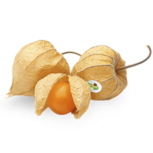 ФИЗАЛИС 100Г КУТИЯ