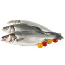 Лаврак 1+ кг